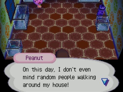 Peanut: On this day, I don't even mind random people walking around my house!