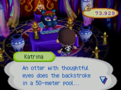 Katrina: An otter with thoughtful eyes does the backstroke in a 50-meter pool...