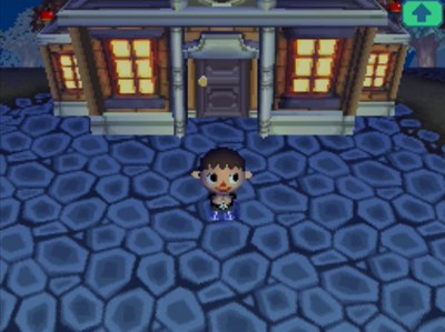 Wishing on a shooting star in Animal Crossing: Wild World.