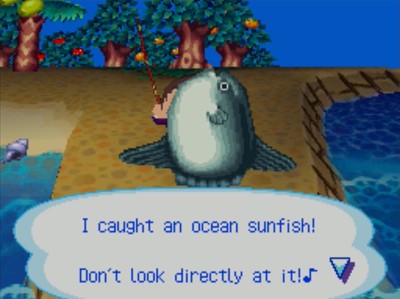 I caught an ocean sunfish! Don't look directly at it!