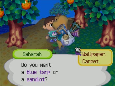 Saharah: Do you want a blue tarp or a sandlot?