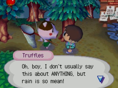 Truffles: Oh, boy, I don't usually say this about ANYTHING, but rain is so mean!