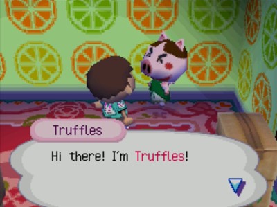 Truffles: Hi there! I'm Truffles!