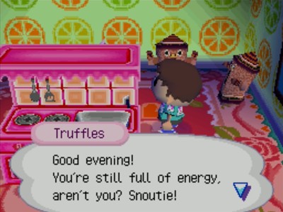 Truffles, not visible standing behind a lovely kitchen: Good evening! You're still full of energy, aren't you? Snoutie!