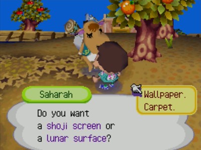 Saharah: Do you want a shoji screen or a lunar surface?