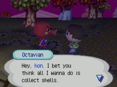 Octavian: Hey, hon. I bet you think all I wanna do is collect shells.