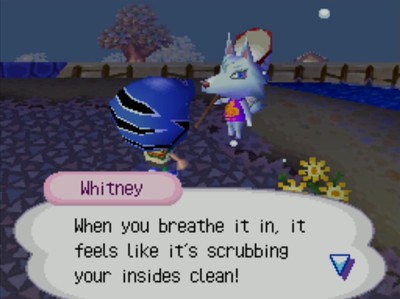 Whitney: When you breathe it in, it feels like it's scrubbing your insides clean!