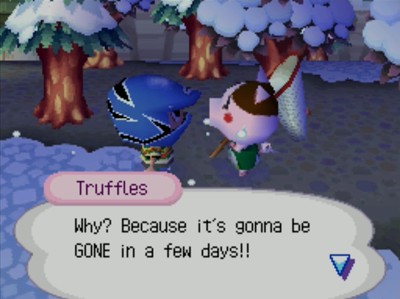 Truffles: Why? Because it's gonna be GONE in a few days!!