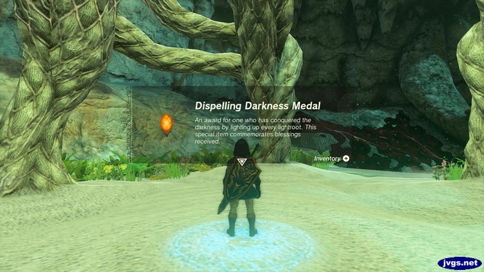 Dispelling Darkness Medal