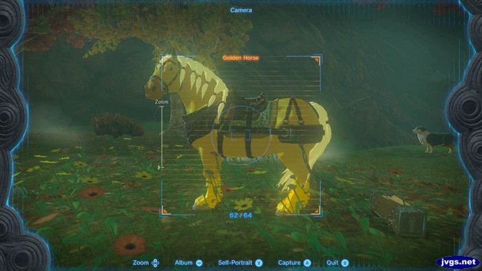 Taking a photo of my golden horse.