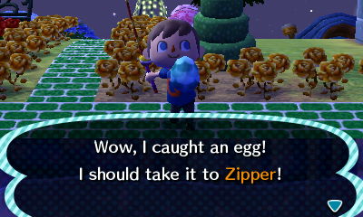 Wow, I caught an egg! I should take it to Zipper!