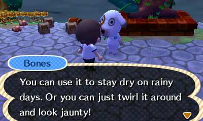 Bones: You can use it to stay dry on rainy days. Or you can just twirl it around and look jaunty!