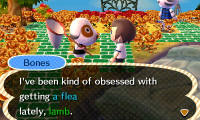 Bones: I've been kind of obsessed with getting a flea lately, lamb.