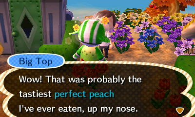 Big Top: Wow! That was probably the tastiest perfect peach I've ever eaten, up my nose.