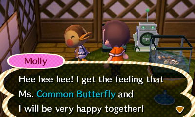 Molly: Hee hee hee! I get the feeling that Ms. Common Butterfly and I will be very happy together!