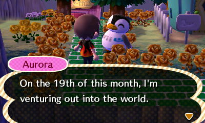 Aurora: On the 19th of this month, I'm venturing out into the world.