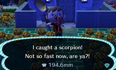 Jeff, after catching a scorpion right outside his house: I caught a scorpion! Not so fast now, are ya?!