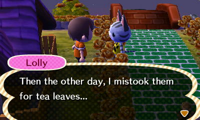 Lolly: Then the other day, I mistook them for tea leaves...