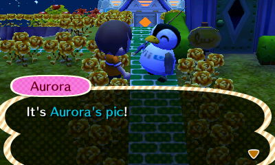 Aurora: It's Aurora's pic!