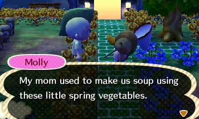 Molly: My mom used to make us soup using these little spring vegetables.