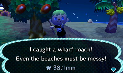 I caught a wharf roach! Even the beaches must be messy!