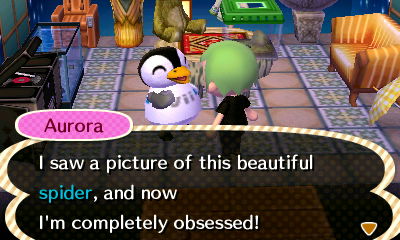 Aurora: I saw a picture of this beautiful spider, and now I'm completely obsessed!