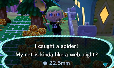 I caught a spider! My net is kinda like a web, right?