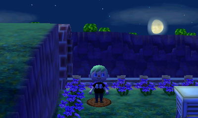 Jeff looks at the moon while standing on Resetti's manhole.