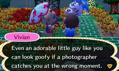 Vivian: Even an adorable little guy like you can look goofy if a photographer catches you at the wrong moment.