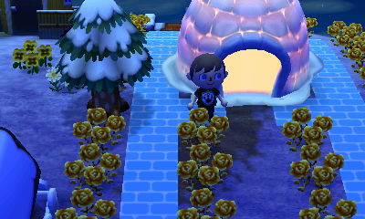 An igloo in Animal Crossing: New Leaf.