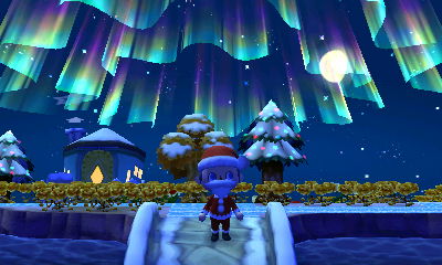 The northern lights shine in the skies over Forest.