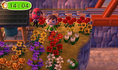 Cherry hides from Jeff behind a zen bell in Animal Crossing: New Leaf.