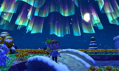 The Northern Lights in the sky above Forest.