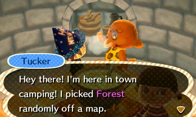 Tucker: Hey there! I'm here in town camping! I picked Forest randomly off a map.