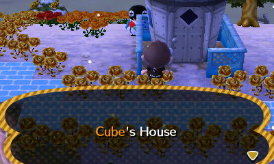 Cube hides behind his own house.