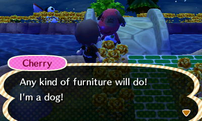 Cherry: Any kind of furniture will do! I'm a dog!