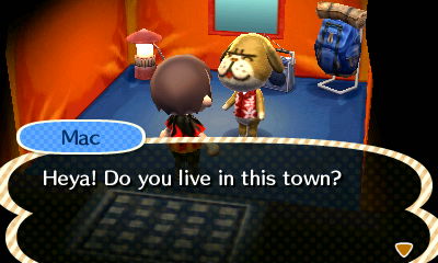 Mac, at the campsite: Heya! Do you live in this town?