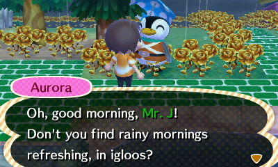 Aurora: Oh, good morning, Mr. J! Don't you find rainy mornings refreshing, in igloos?