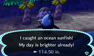 I caught an ocean sunfish! My day is brighter already! 114.50 in.