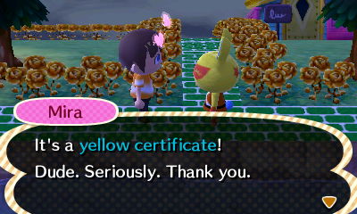 Mira: It's a yellow certificate! Dude. Seriously. Thank you.