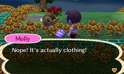 Molly: Nope! It's actually clothing!