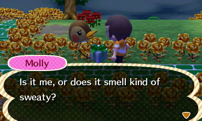 Molly: Is it me, or does it smell kind of sweaty?