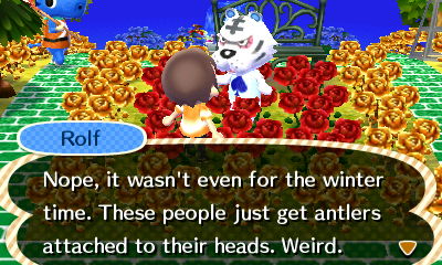 Rolf: Nope, it wasn't even for the winter time. These people just get antlers attached to their heads. Weird.