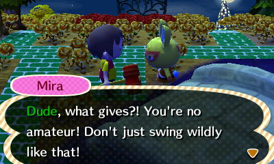 Mira: Dude, what gives?! You're no amateur! Don't just swing wildly like that!