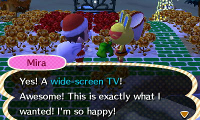 Mira: Yes! A wide-screen TV! Awesome! This is exactly what I wanted! I'm so happy!